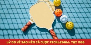 Cá cược pickleball, bộ môn cá cược xu hướng 2025